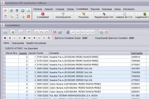 Imagen de la contabilidad de GestFuturo programa de gestion para taller